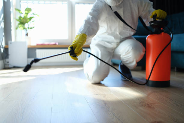 Trusted Trauma Scene Cleanup service in Springfield, GA - Four Month Blood Cleanse